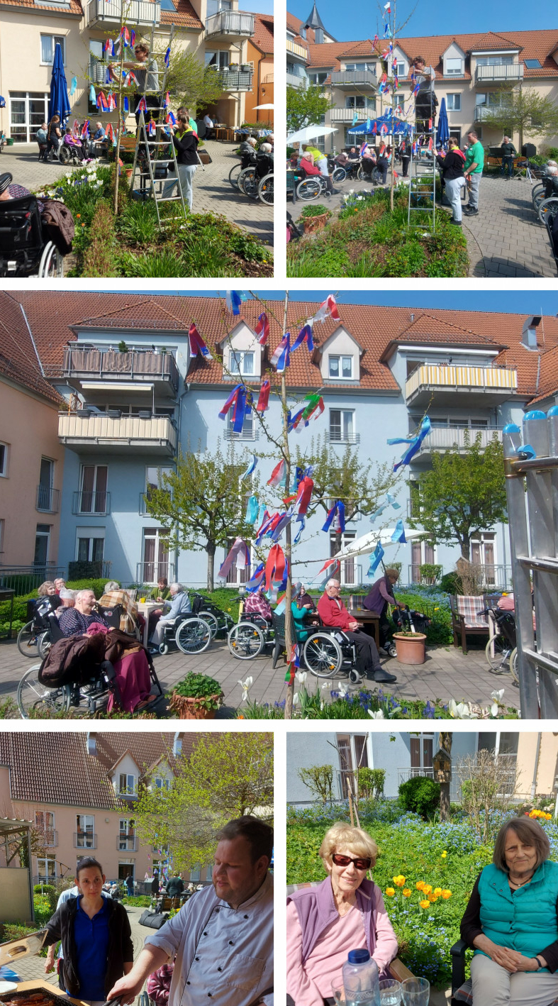 20230427 135335 COLLAGE