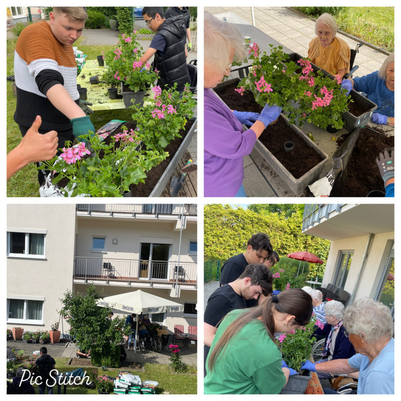 Pflanzaktion06 06 23